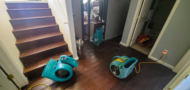  Cleveland, MS Water damage restoration Pros
