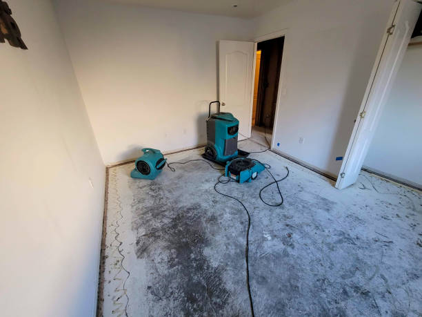 Best Sewage cleanup and water damage restoration  in Cleveland, MS