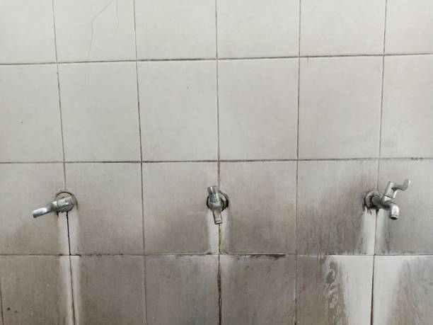 Best Flood restoration services  in Cleveland, MS