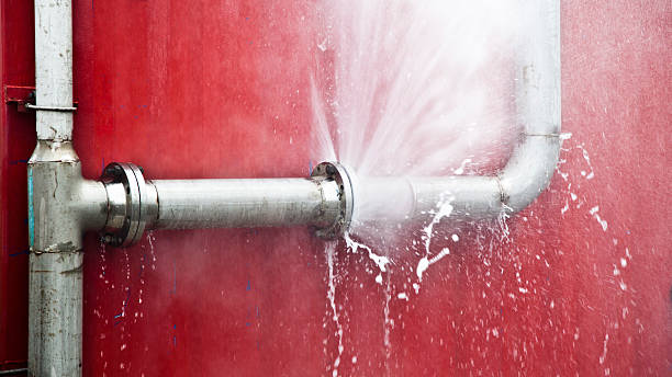 Best 24/7 water damage repair  in Cleveland, MS